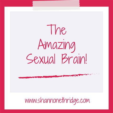The Amazing Sexual Brain Official Site For Shannon Ethridge Ministries