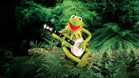 4k Kermit The Frog Papéis De Parede Planos De Fundo