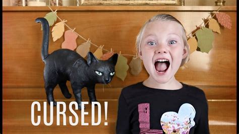 Последние твиты от cursed images (@cursedimages). CURSED! | THE BLACK CAT CHALLENGE | Funny cat pictures, Black cat, Cats