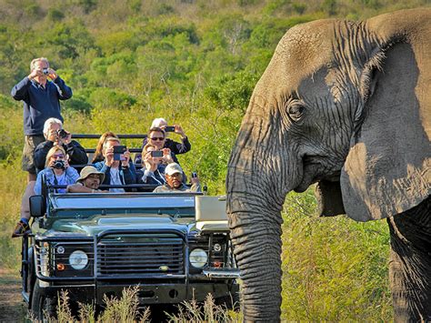 Thula Thula Private Game Reserve South Africa Wild Safari Guide