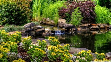 Small Pond With Flowers Wallpaper 1920x1080 Wallpapers Hd Desktop