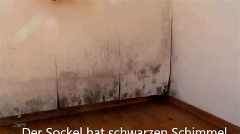 Betroffen davon sind vor allem angstpatienten. video Bausachverständiger feuchtes nasses Haus kaufen ...