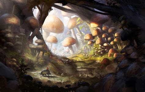 Psyamb Mushroom Drawings The Magic Art Of Mushrooms