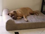 Pictures of Memory Foam Beds For Dogs