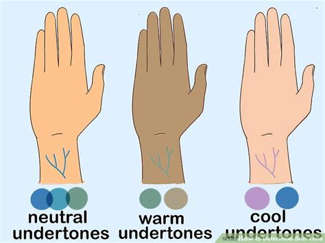 Knowing your skin type allows you to select the right products and customize a skin care regimen that will work best for you. 6 Ways to Determine Skin Tone - wikiHow