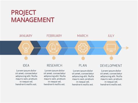 Project Management Timeline Infographic Template Visme