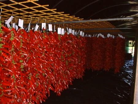 405 x 405 jpeg 40 кб. paprika_szaritas.jpg :: Különleges Kalocsai Őrölt Paprika