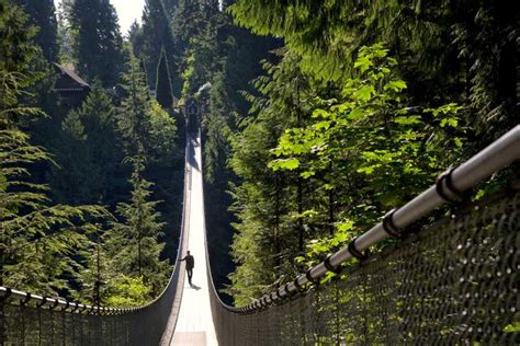 vancouver selvguidet tur i capilano suspension bridge park getyourguide