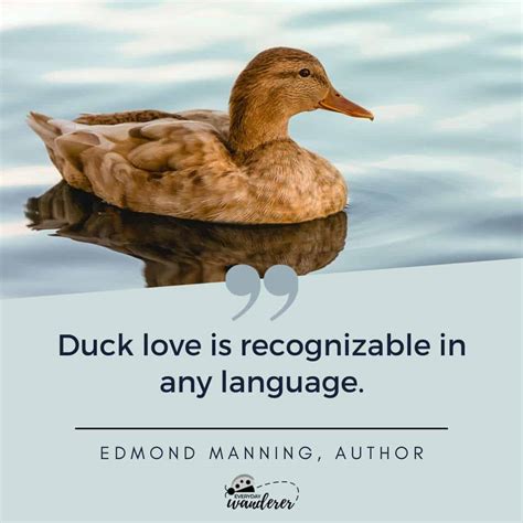 100 Duck Quotes That Will Quack You Up