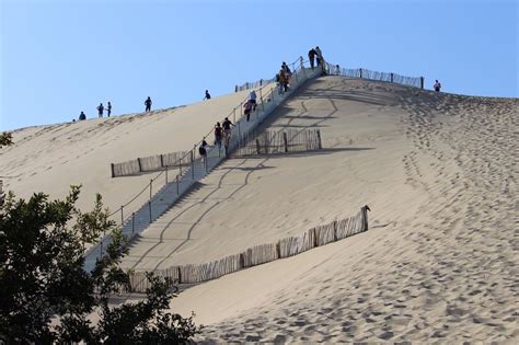 La duna di pilat (dune du pilat in francese) è la duna più alta d'europa, situata in francia, nel dipartimento della gironda, in prossimità del bacino di arcachon.si estende su una superficie larga 500 m da ovest a est e 3 km da nord a sud, di fronte alla giuntura fra l'oceano atlantico e il bacino. TVBA - La Teste - Les escaliers de la dune du Pilat ...