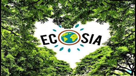 Ecosia Plante Il Vraiment Des Arbres - Ecosia, le moteur de recherche qui plante des arbres !🌳🌍 - YouTube
