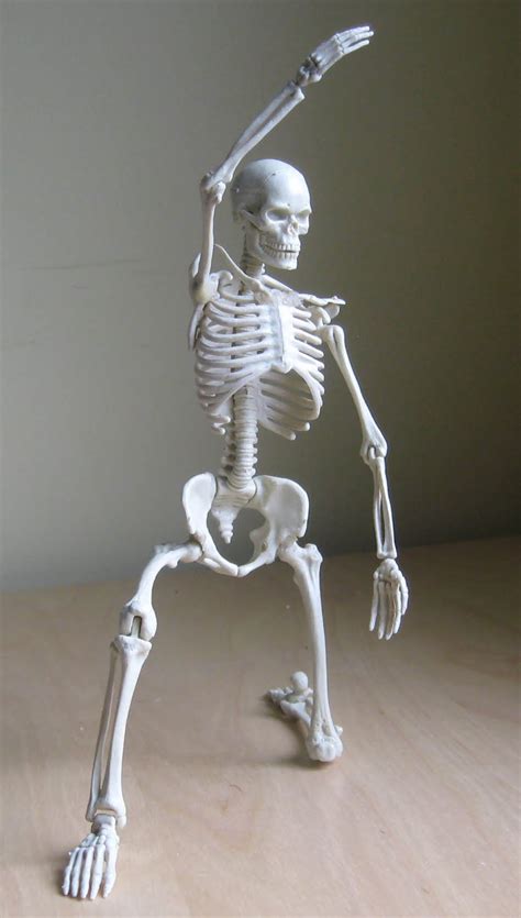 Illustration Fixation Skeleton Model