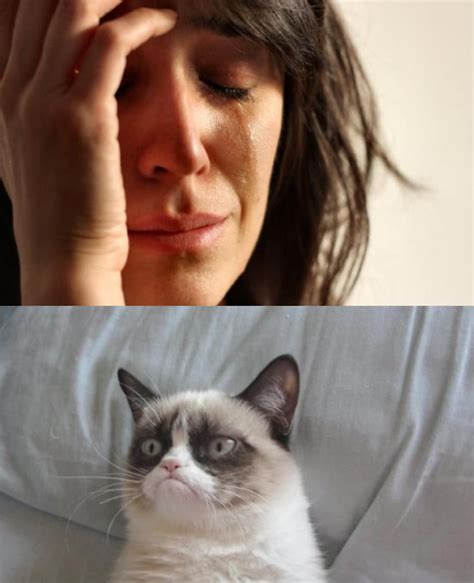 Crying With Grumpy Cat Memes Imgflip