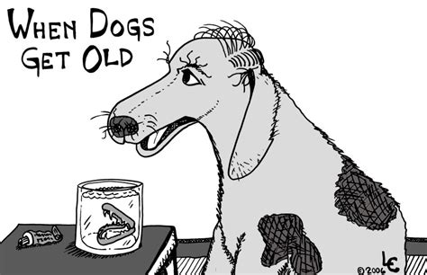Laramie Crockers Cartoons Old Dogs