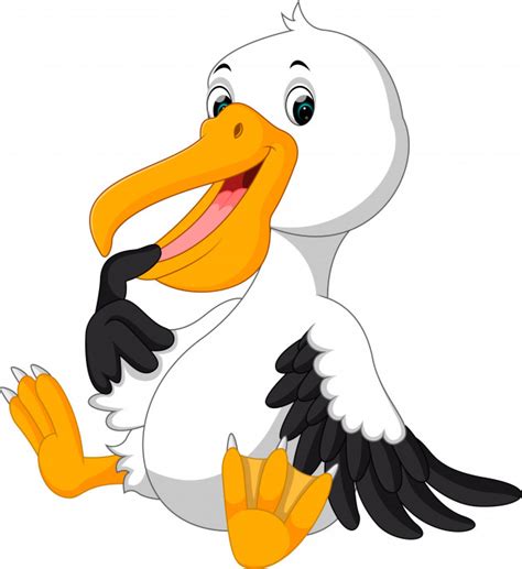 Cute Pelican Cartoon Vector Premium Download