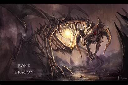 Dragon Bone Dragons Fantasy Deviantart Bones Skeleton