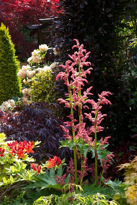 Red flowers bring intensity and movement to the garden. Drelis Gardens: Four Seasons Garden - The most beautiful ...