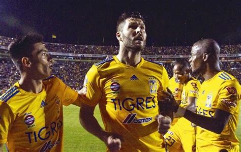 El 93% de nuestros usuarios piensa que el resultado final del partido será victoria del palmeiras. Tigres ya tiene rival: así se jugará el Mundial de Clubes