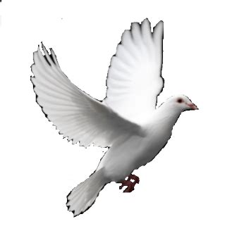700 x 450 · png. GBI HOUSE OF GRACE