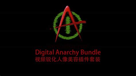 AE PR插件 Digital Anarchy Bundle CE Win 专业磨皮美容降噪插件套装 CGUFO