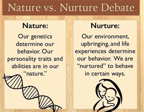 🎉 Nature Vs Nurture Nature Examples The Nature Vs Nurture Human