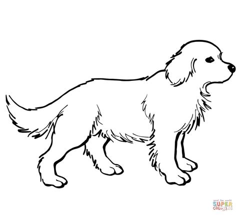 Free printable golden retriever coloring pages. Golden Retriever Puppy coloring page | Free Printable ...