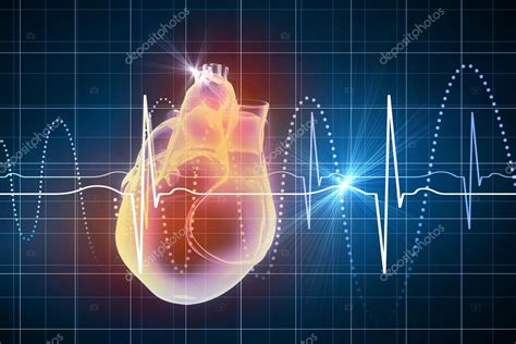Human Heart Beats — Stock Photo © Sergeynivens 29847975