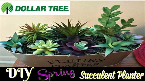 Don't fret, because i have a super easy 1 hour makeover for you! DIY SPRING SUCCULENT PLANTER | DOLLAR TREE DIY | SPRING ...