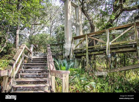 Ravine Gardens State Park In Palatka Florida Stock Photo Alamy