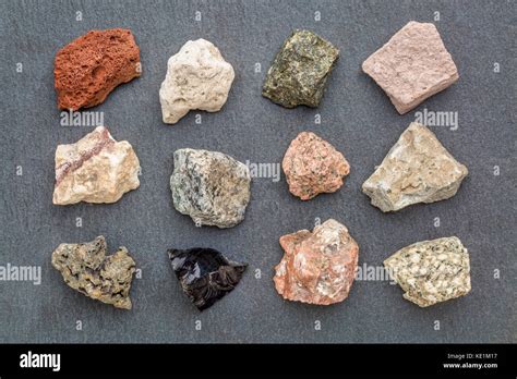 Igneous Rock Geology Collection From Top Left Scoria Pumice Gabbro