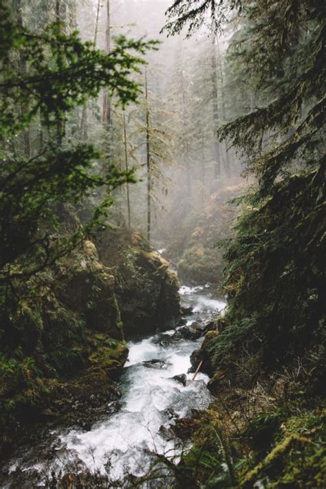 Las Mejores Imágenes Que Te Muestran La Belleza De La Naturaleza