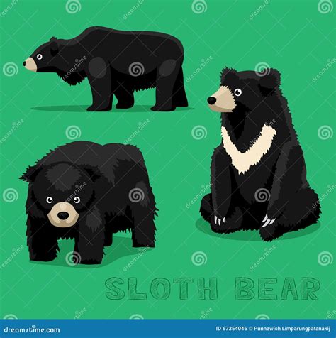 Bear Sloth Bear Cartoon Vector Illustration | CartoonDealer.com #67354046