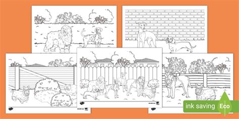 Colouring Pages To Support Teaching On Hairy Maclary