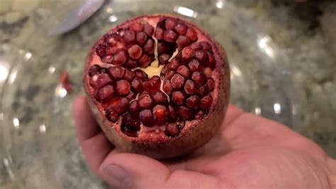 Growing Pomegranates In Arizona Youtube