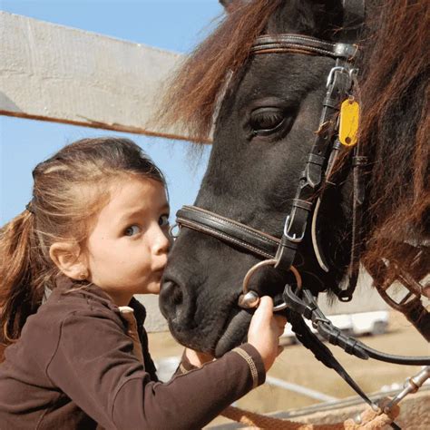 Kids Horse Riding Clothes 3 Key Points To Keep In Mind Equestrian
