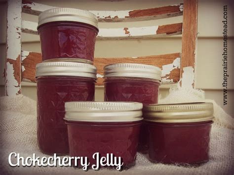 But whichever recipe is used, the process of. Chokecherry Jelly Recipe (with low-sugar/honey)