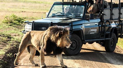 Springbok Lodge And Function Venue Nambiti Private Game Reserve