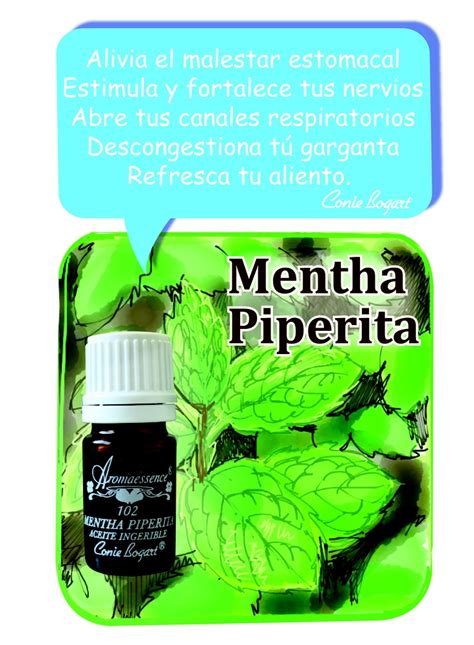 Nuestra Mentha Piperita Aromaterapia Piperita Malestar Estomacal