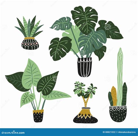 Hand Drawn Tropical House Plants Scandinavian Style Illustration
