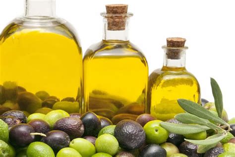 Pengaruh minyak zaitun dalam menjaga kesehatan sistem peredaran darah meliputi mekanisme sebagai berikut : minyak zaitun. . . . mantap khasiatnya | otomotif dan herbal