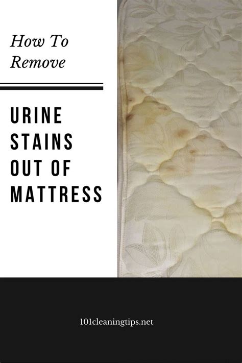 How to clean urine out of memory foam mattress. How to remove urine stains out of mattress ...