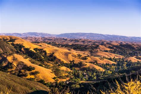 California Grasslands Stock Photos Pictures And Royalty Free Images Istock