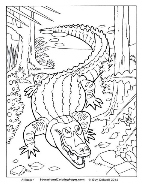 Make a coloring book with alligator gar for one click. alligator coloring pages, alligator colouring pages ...