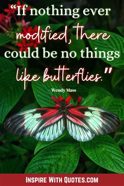 101 Inspiring Butterfly Quotes About Change And Transformation