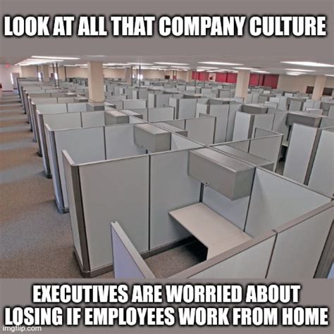 Corporate Cubicles Memes Imgflip
