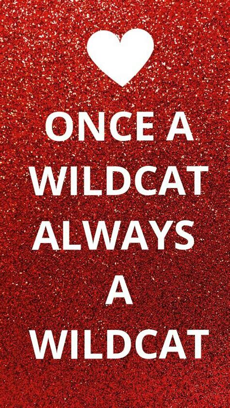 once a wildcat always a wildcat hsm disney high school musical wild cats high school