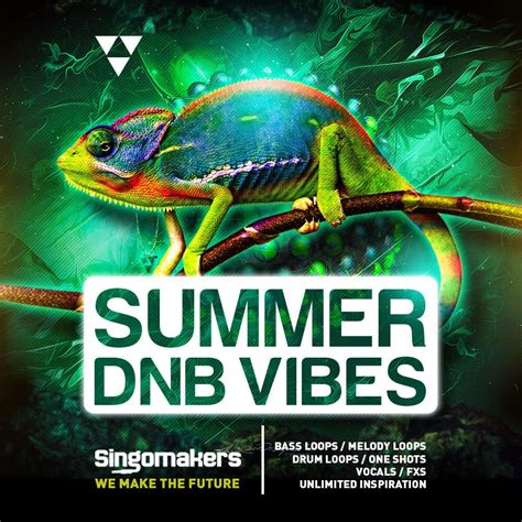 Singomakers Releases Summer Dnb Vibes Sample Pack At Loopmasters
