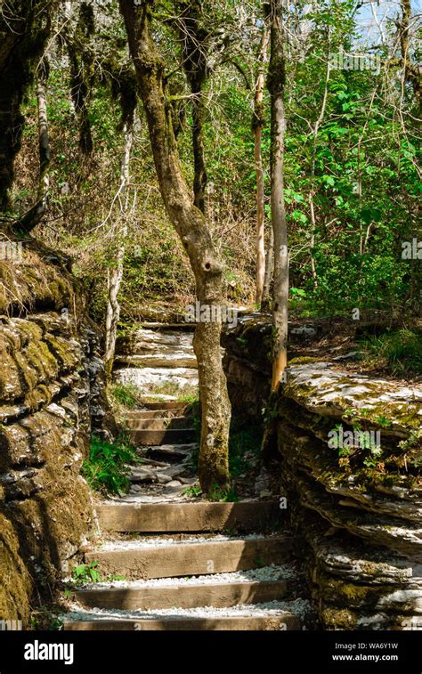 Staircase On An Ecological Path Through A Natural Passage In The Rocks
