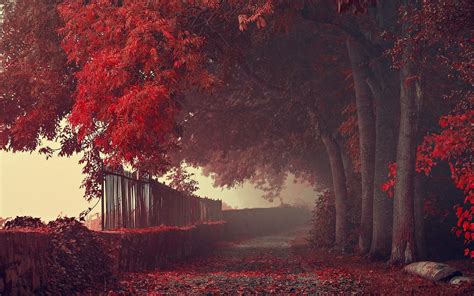 Red Nature Wallpapers 4k Hd Red Nature Backgrounds On Wallpaperbat