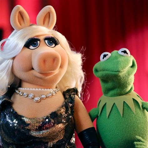 Miss Piggy And Kermit The Frog Costume